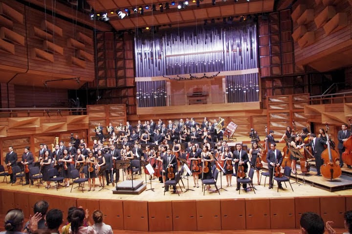 La Orquesta Sinfónica Juvenil de Carabobo nació en el año 2003 con un encuentro entre músicos porteños y valencianos