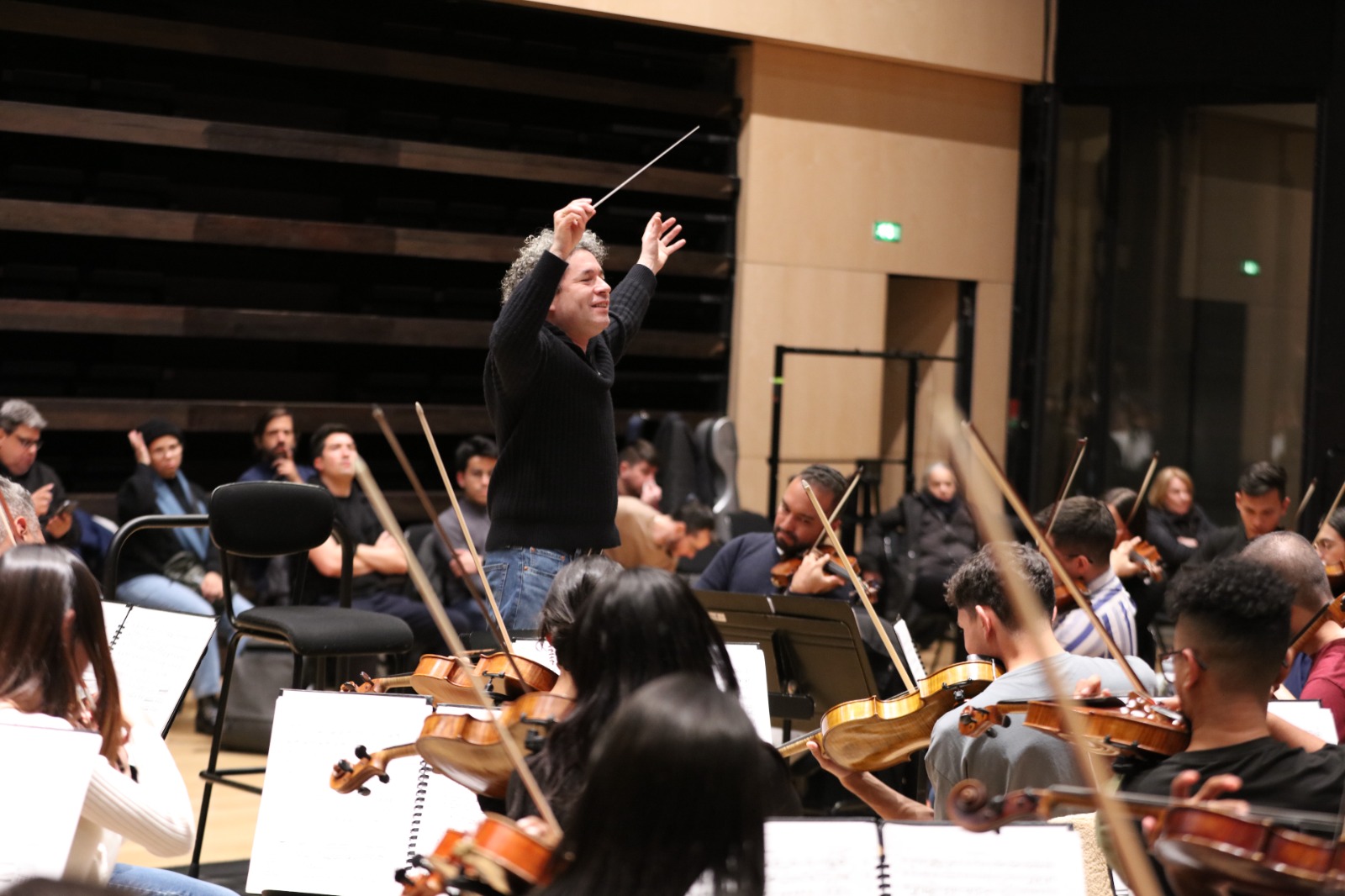 DIRECTOR GUSTAVO DUDAMEL