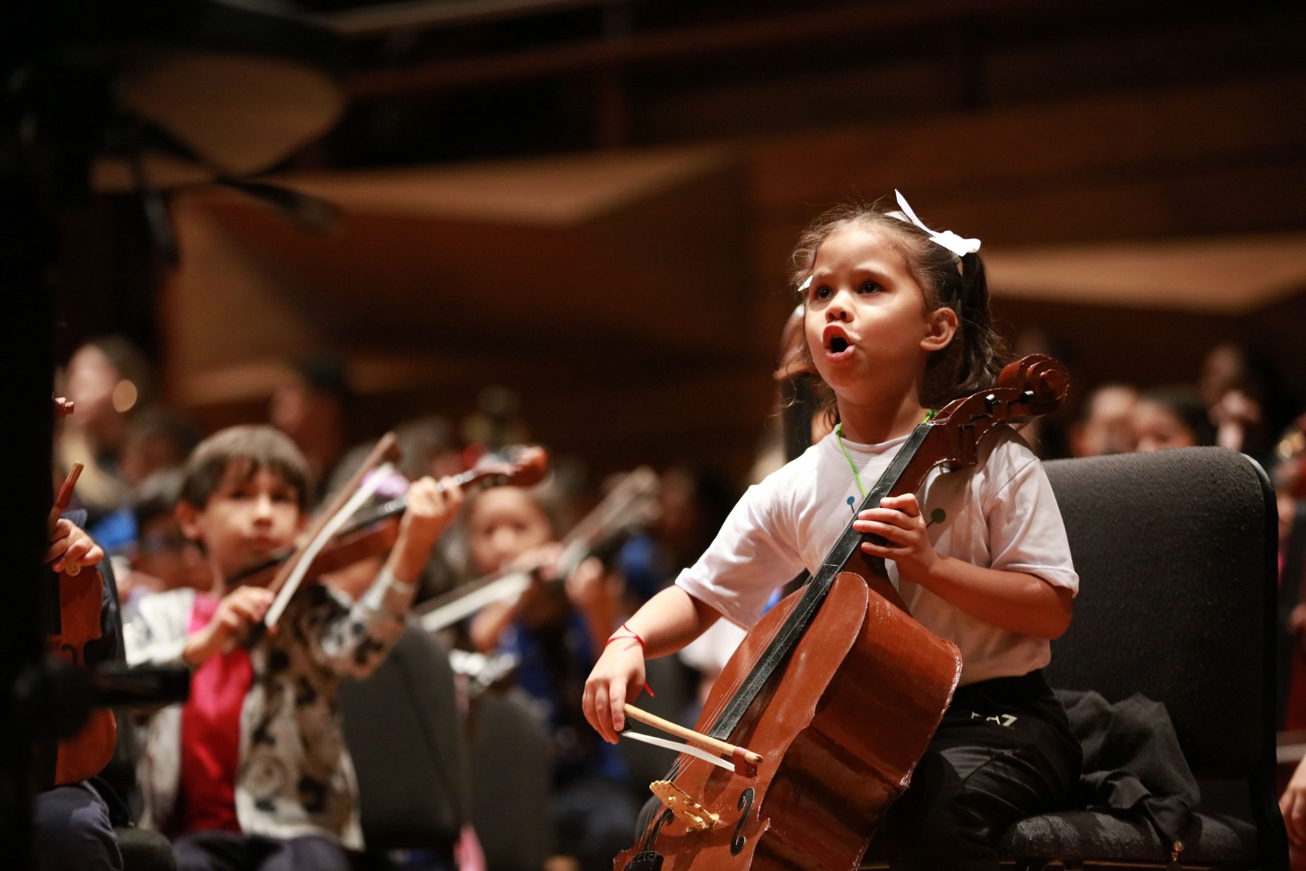 ORQUESTA DE PAPEL (5)