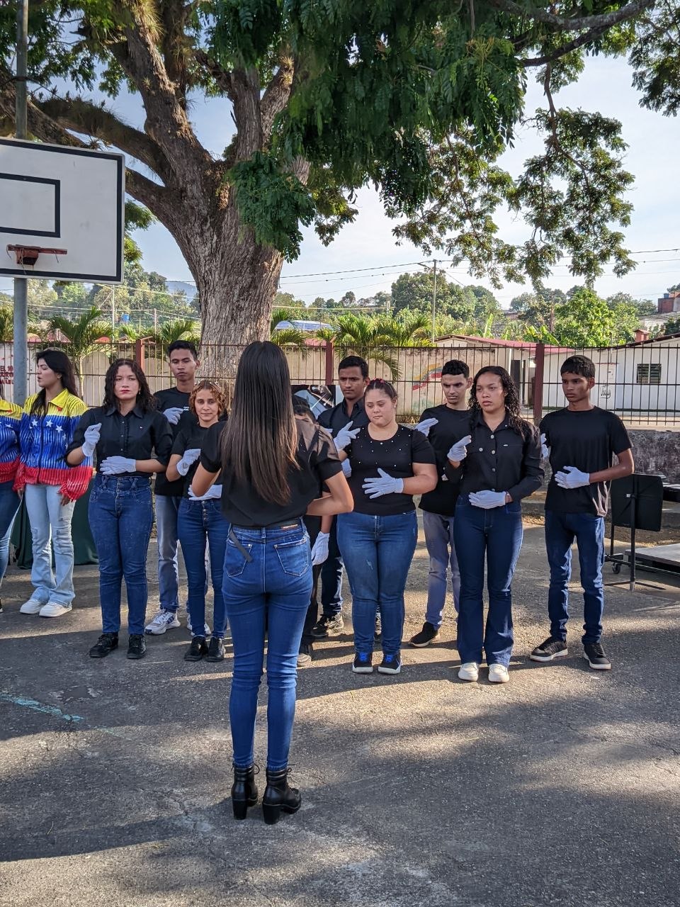 Photo_5044336865095389369_y