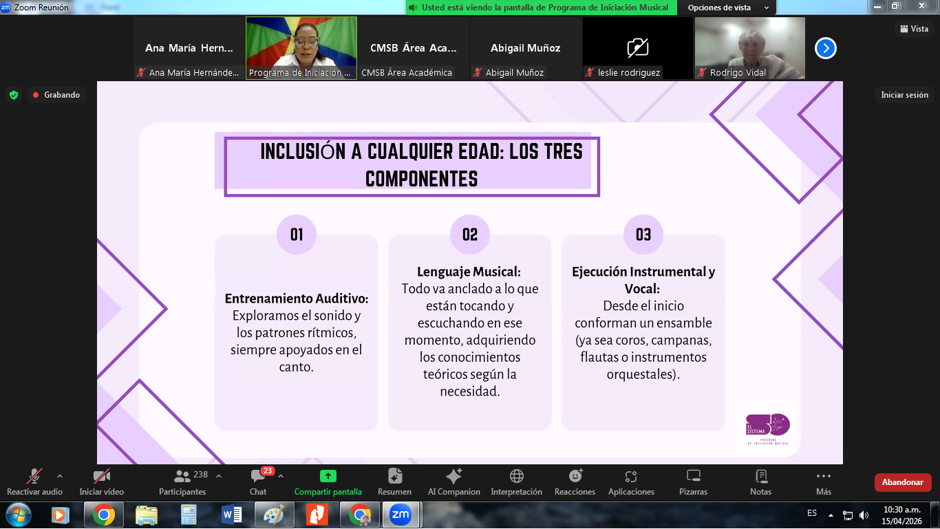 Webinar – Programa De Iniciación Musical (16)