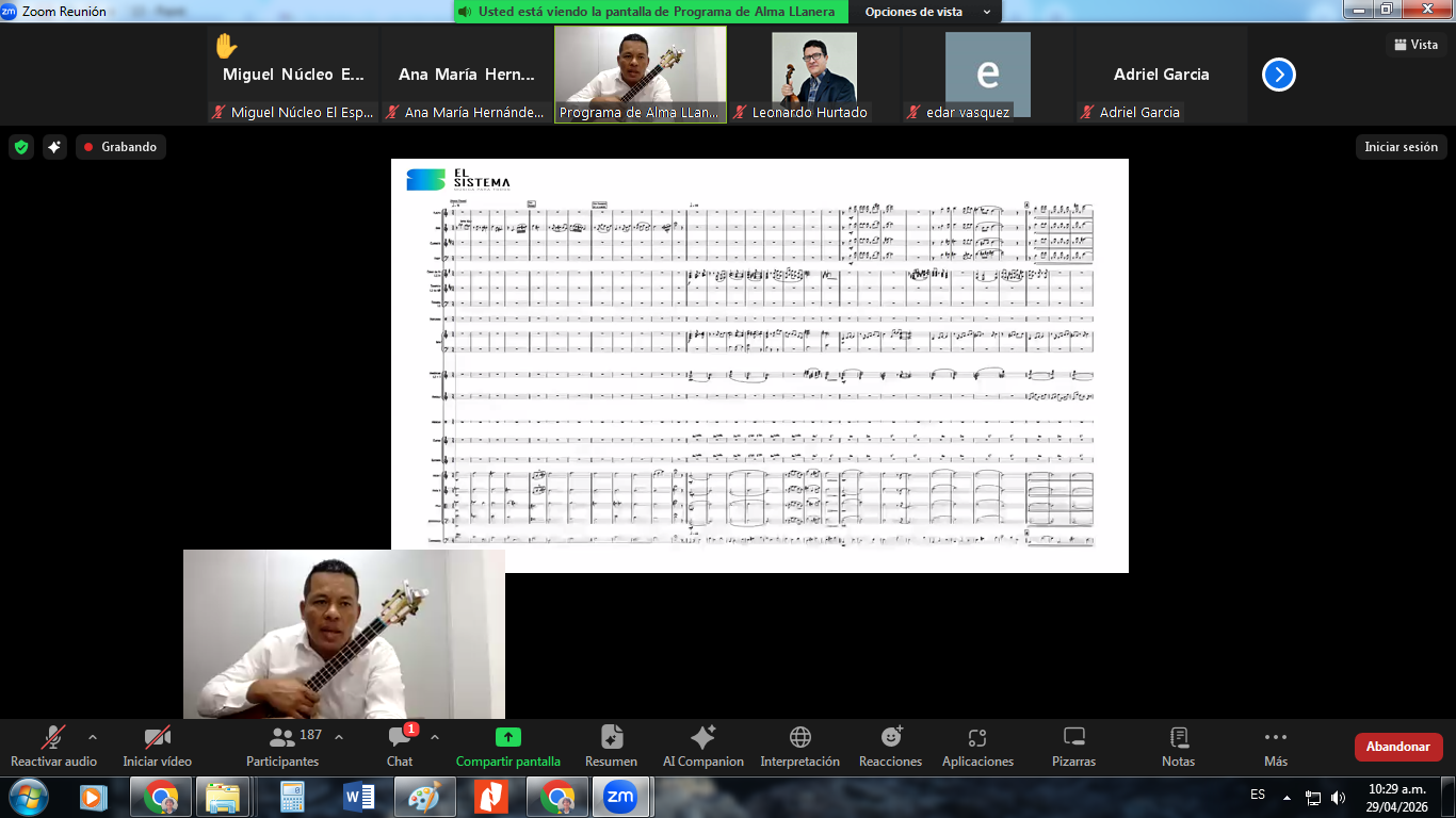 Webinario – PALL Sesion 9 (14)